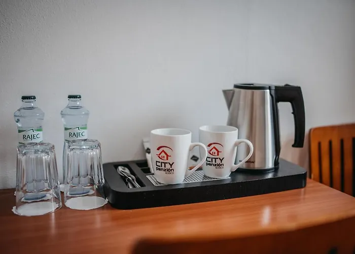 City Penzion Гостевой дом 3*